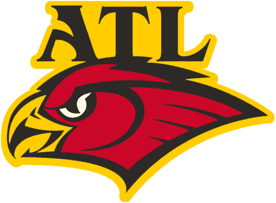 Atlanta Hawks 1998-2007 Alternate Logo DIY iron on transfer (heat transfer)